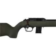 Karabinek Diana R-22 cena - szczegóły